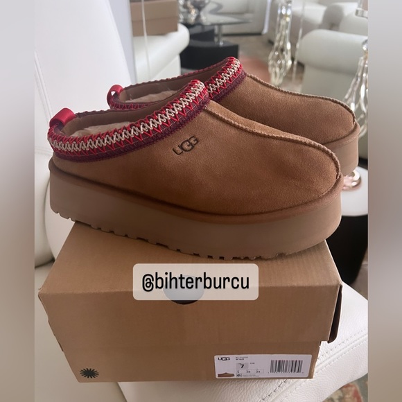 UGG Shoes - NEW UGG Tazz Suede And Sheepskin Slippers, Chestnut, Womens Size 7 Clog Mules